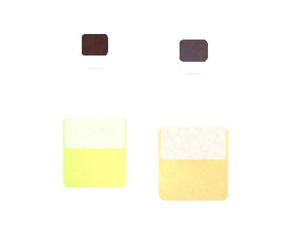Air Bar Zen 2: Flavor Portfolio for Distributors
